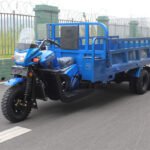 300cc Heavy duty gasoline cargo tricycle