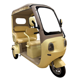 electric tricycle