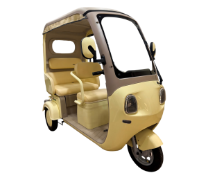electric tricycle