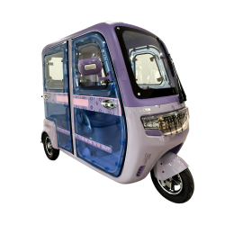 electric tricycle