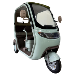 electric tricycle