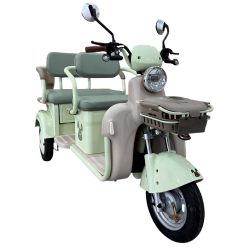 electric tricycle